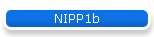 NIPP1b