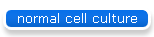 normal cell culture