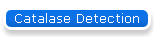 Catalase Detection