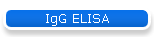 IgG ELISA